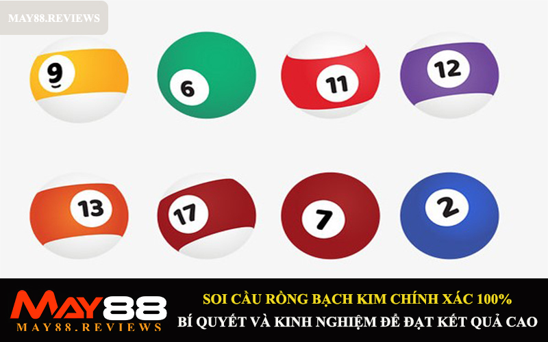 soi-cau-rong-bach-kim-chinh-xac-100-1
